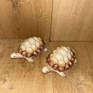 Peper en zout setje schildpad